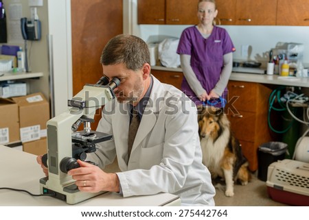 A veterinarian looking at a microscope while a vet tech and dog look on.