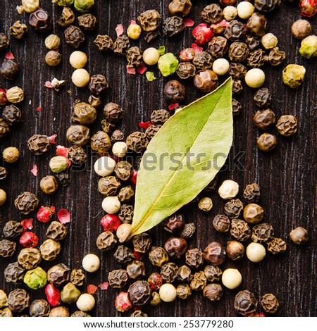 laurel leaves on a mix four pepper on black wooden table