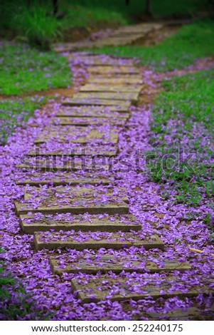 Sweet Purple Flowers on the ground