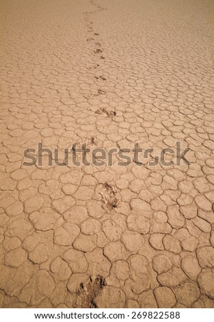 Desert background