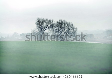 Two trees in a dark mist, landscape