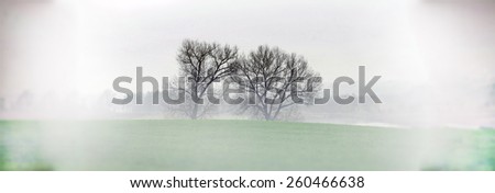 Two trees in a dark mist, landscape