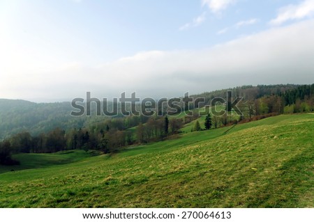 Green field of grass and mountains in the background, Beskids, Poland