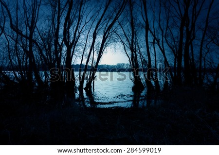 Blue dark forest with a view of magical lake