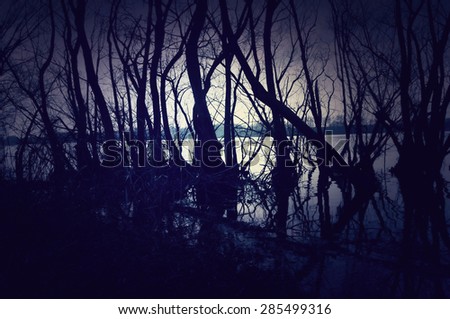 Dark and gloomy landscape with a forest by the lake. Forest background for web usage