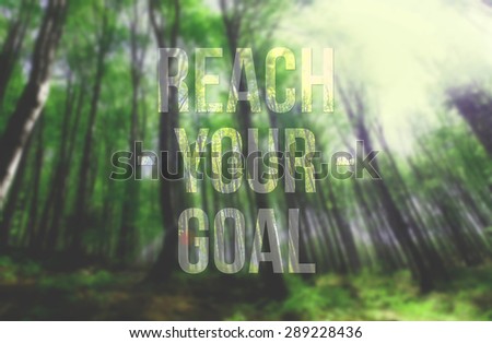Motivational poster with the inscription Reach Your Goal. Nature forest background