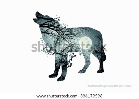 Illustration of wolf silhouette. Double exposure with photo of full moon and trees. Poster for nature lovers