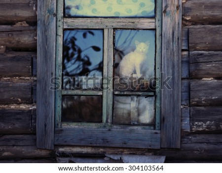 Old town house. Cat in the window. country house in russian village. Cute cat in the window.