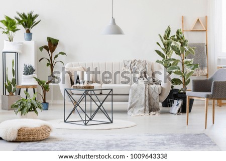 Pouf and grey armchair in botanic living room interior with beige sofa near plants and table on rug