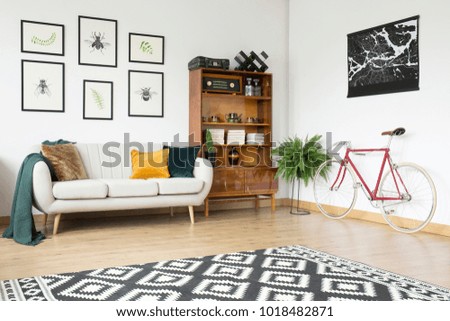 Patterned carpet and bicycle in vintage living room interior with wooden sideboard and beige sofa with pillows