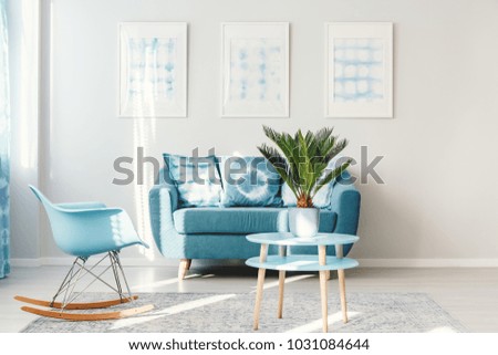 Palm on light blue, round table standing next to a rocking chair and sofa in bright living room interior