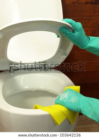 Household: cleaning a toilet using gloves and rubber