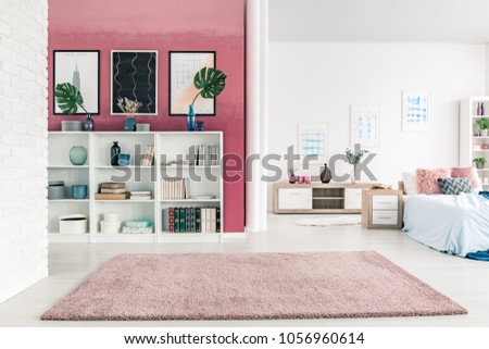 Modern, open space apartment interior with bed, cupboard, big rug, plants and posters