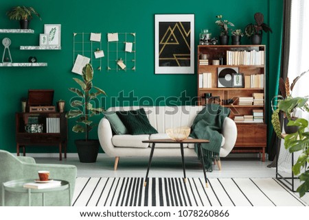 Modern design, botanic living room interior with cozy, beige sofa, antique furniture, home library, and teal green wall