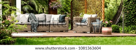 Grey sofa with decorative cushions and basket with pillows placed next to wicker armchair standing on wooden terrace