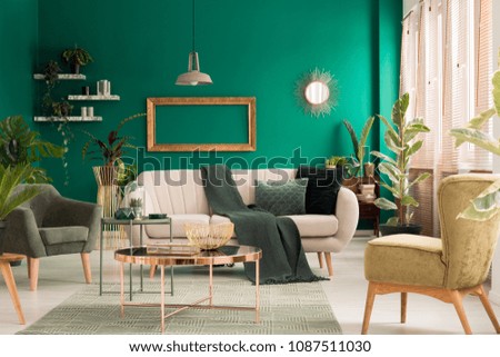 Green blanket thrown on bright sofa with pillows standing in living room interior with fresh plants and mockup frame on the wall