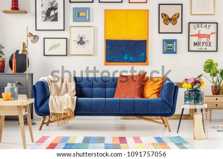 Navy blue couch with bright blanket and two cushions standing in white living room interior with fresh flowers, gold lamp and gallery on the wall
