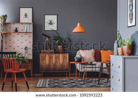 Plant and telescope on wooden cabinet next to a sofa in rustic living room interior with orange lamp