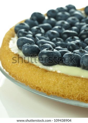 Summer sponge cake with blueberries and pudding