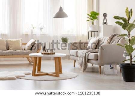 Wooden table on rug in front of settee in simple living room interior with ficus. Real photo