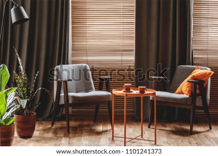 Vintage armchairs, orange coffee table with two cups, plants standing by the window with curtain and blinds in a living room interior