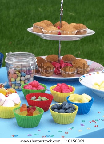 Kinder party in the garden with colorful sweets
