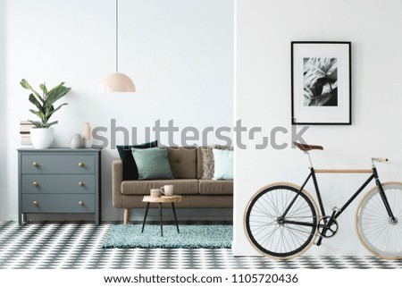 Bike and poster on the wall in a modern living room interior with a chest of drawers, plant and sofa in the background
