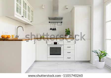 Silver cooker hood in minimal white kitchen interior with plant on wooden countertop. Real photo