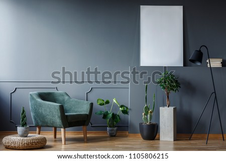 Plant on pouf next to green armchair in grey flat interior with mockup of poster. Real photo