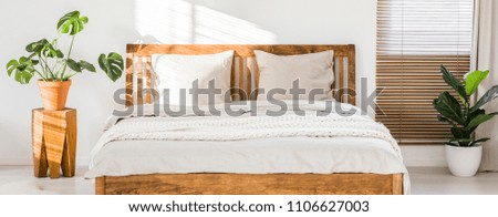 Close-up of double wooden bed with bedding, pillows and blanket against white wall in a bright sunny bedroom interior. Two green plants standing beside. Panorama. Real photo.