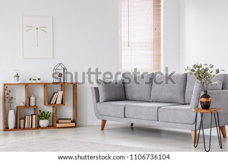 Plant on wooden table next to grey sofa in natural living room interior with poster. Real photo