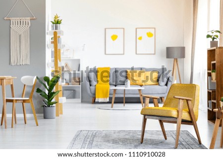 Yellow armchair on rug near plant in open space interior with posters above grey couch. Real photo with blurred background