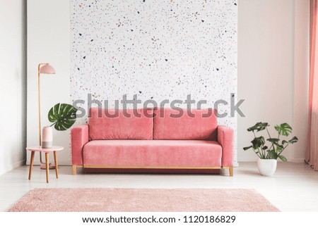 Pink couch between plant and lamp in bright living room interior with patterned wall. Real photo