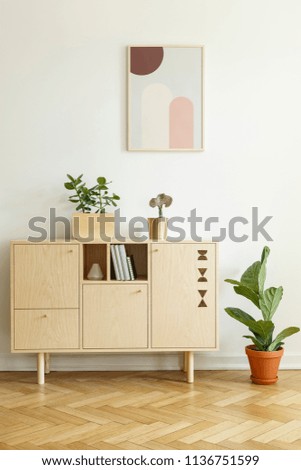 Plant next to wooden cupboard against white wall with poster in living room interior. Real photo