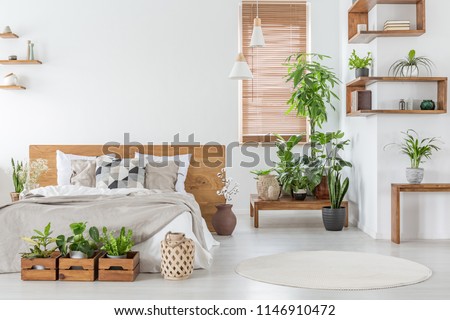 Real photo of a botanical bedroom interior with wooden shelves, tables, double bed, plants and empty wall next to a window with blinds. Place your painting