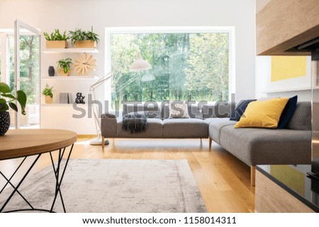 Grey corner couch with cushions in real photo of white living room interior with window, fresh plants, carpet and big lamp