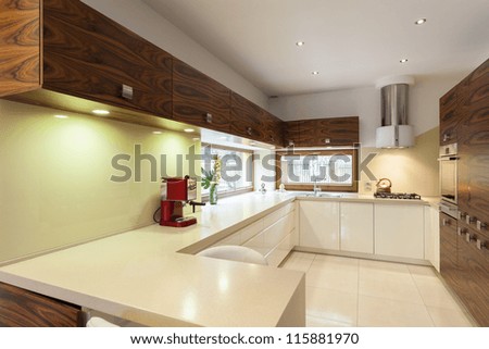 New Contemporary Kitchen Interior In Green Colors