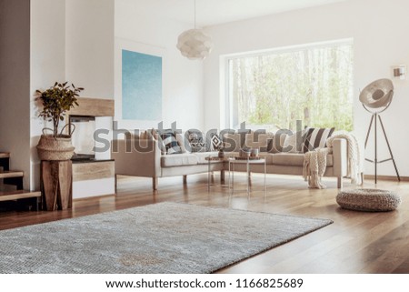 Open space, white living room interior with a big rug on dark, hardwood floor and a beige corner sofa with cushions