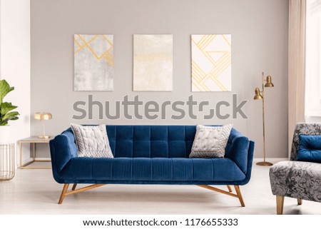 Elegant living room interior with a comfortable big blue velvet sofa and gold decorations. Real photo.
