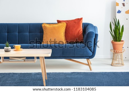 Orange and red cushions on a fancy, navy blue sofa and a basic, wooden coffee table on a navy peony rug in a white living room interior. Real photo.