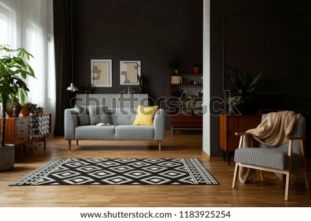 Real photo of open space dark living room interior with molding and posters on wall, patterned carpet, lounge with cushions and retro furniture