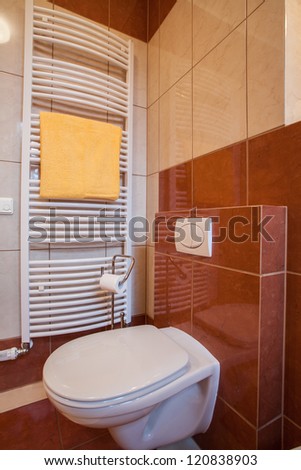 Wc in brown and creamy bathroom, vertical view
