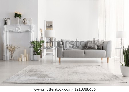 Plants and carpet in white living room interior with candles next to grey couch. Real photo