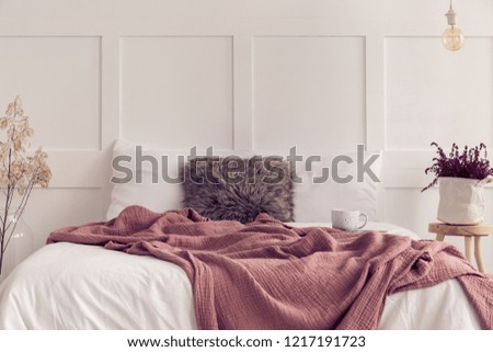 Furry pillow in the middle of king size bed with white bedding and dirty pink blanket, real photo with copy space on the empty wall