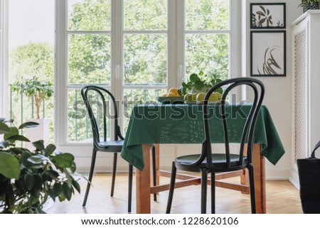 Two black chairs standing by dining table with apples, lemons, fresh plant and green tablecloth in real photo of bright room interior with two posters and balcony with view