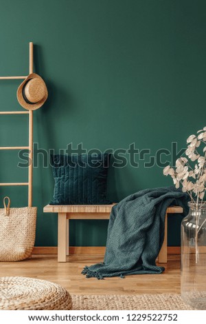 Pillow and blanket on bench in green apartment interior with plant, pouf and hat on ladder. Real photo