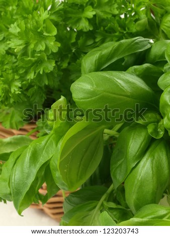 Bouquets of fresh herbs in a basket