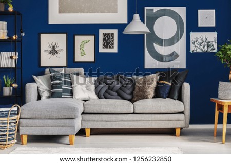 Different kind of pillows on comfortable grey corner sofa in elegant living room with blue wall with posters