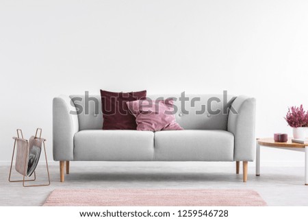 Lilac and burgundy pillows on grey settee in bright living room with heather on coffee table and copy space on the empty white wall