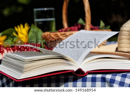 An opened book lying on a picnic table